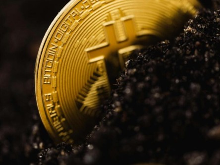 pi币最新共识价格 Pi币共识价格最新走势