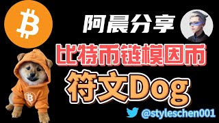 比特币Runes协议解析：Meme币$DOG空投完成，阿晨分享对DOG的独特见解