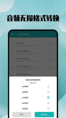 格式转换大师截图3
