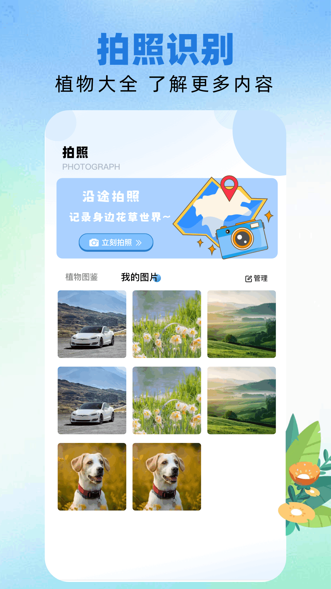 TopMobilee安卓版