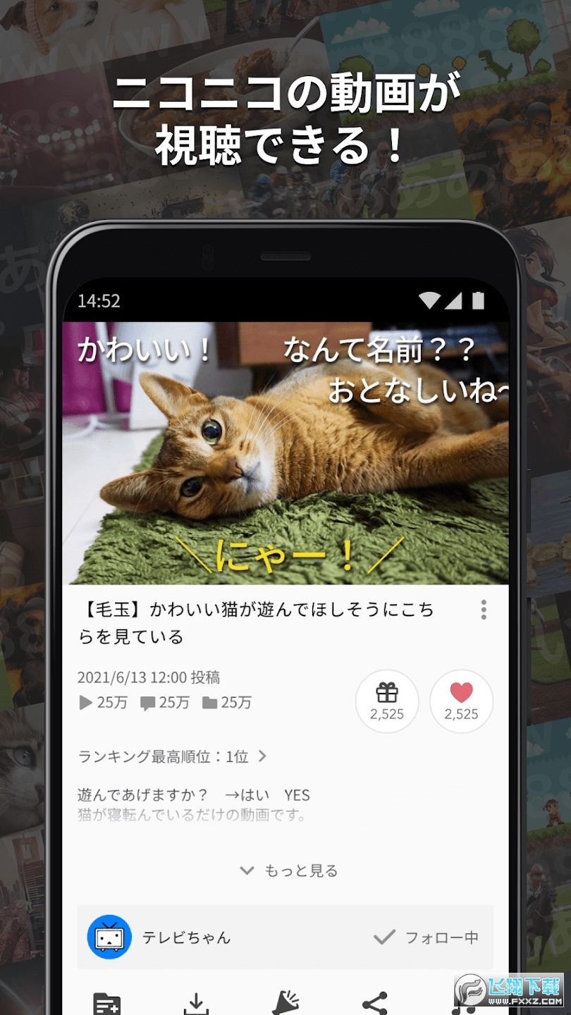 日版bilibili哔哩哔哩