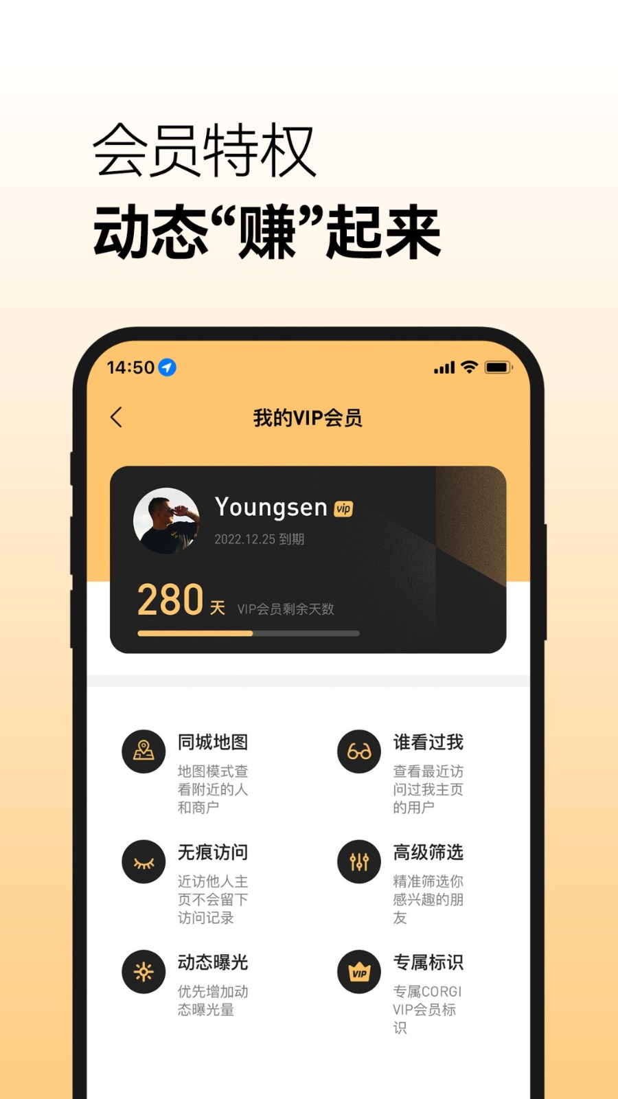corgi软件下载官方版