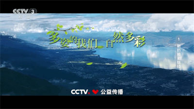 爱尚电视TV电视版免费下载安卓版