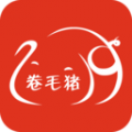 卷毛猪精选