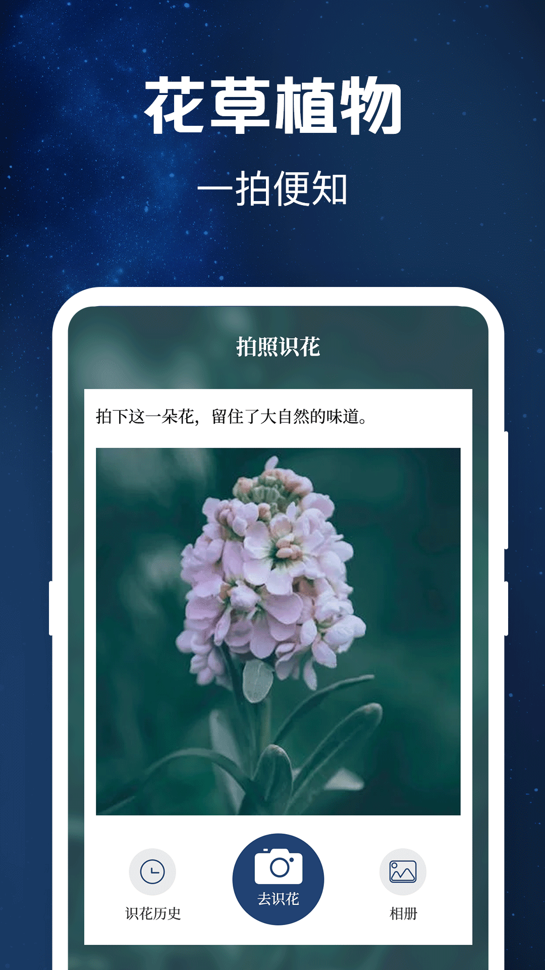 验钞工具Pro标准手电筒
