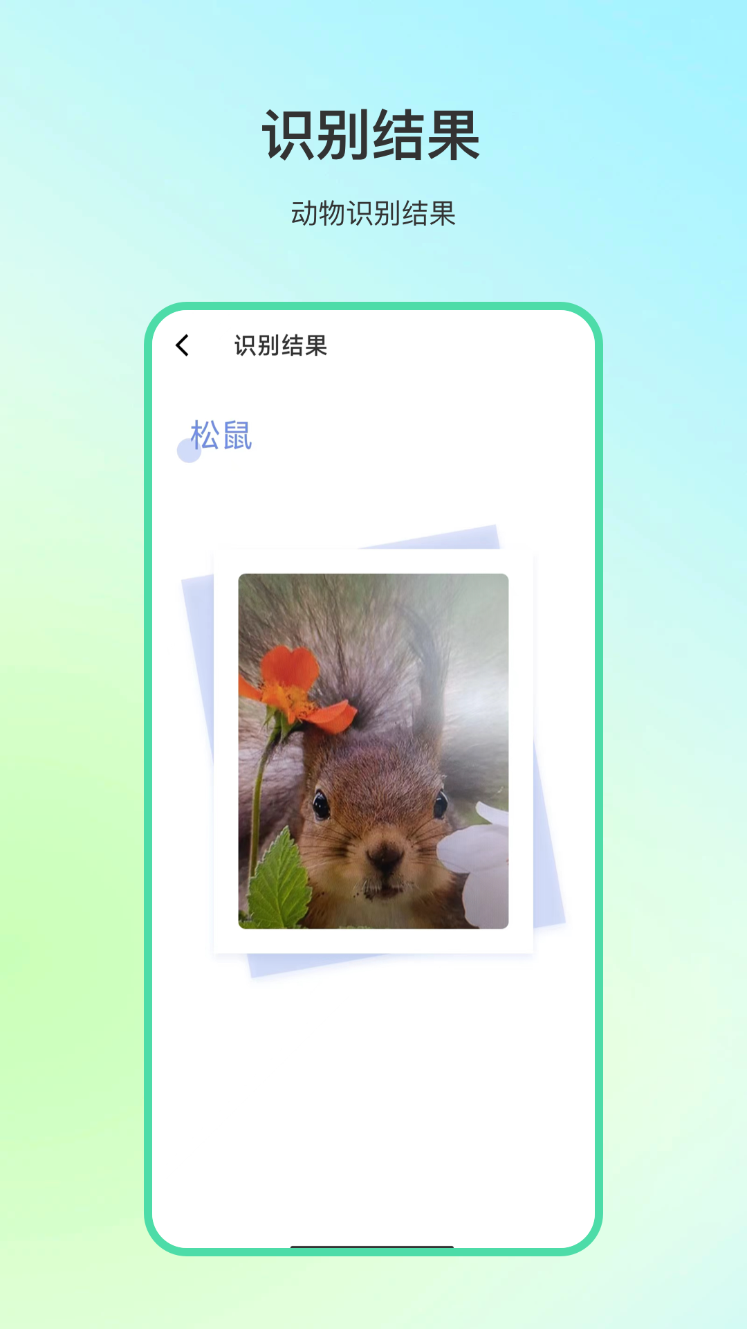 动物百科app