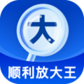 顺利放大王