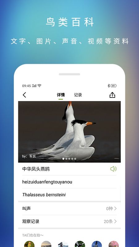 爱鸟国际app