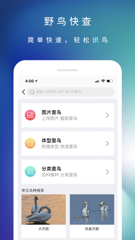 爱鸟国际app