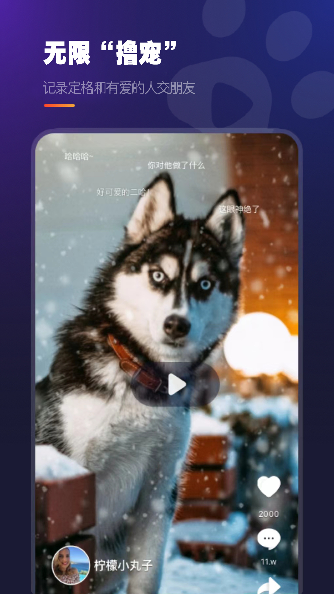 趣爪印app