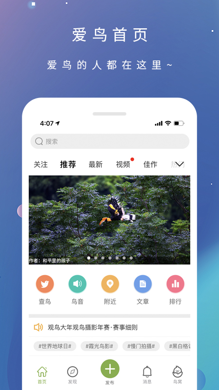爱鸟国际app截图1