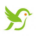 爱鸟国际app