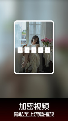 隐私播放器app截图3