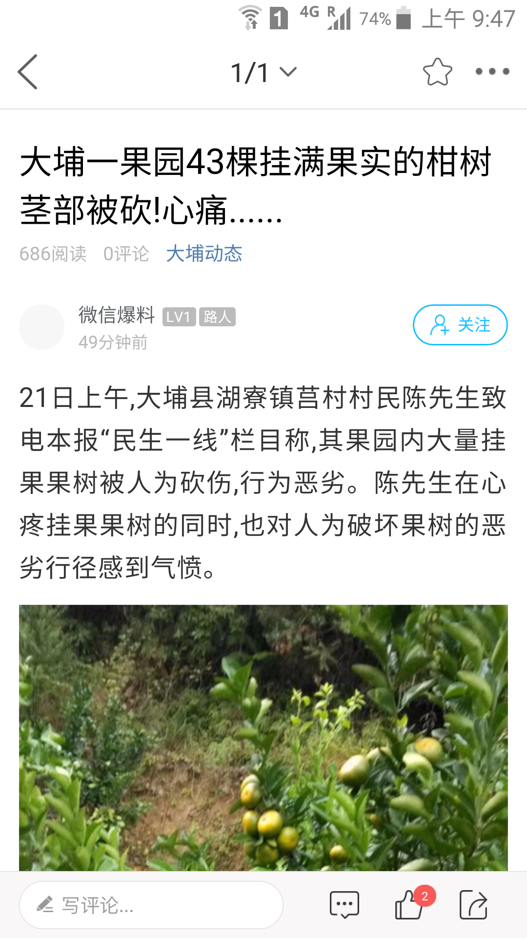 大埔网app<span></span>