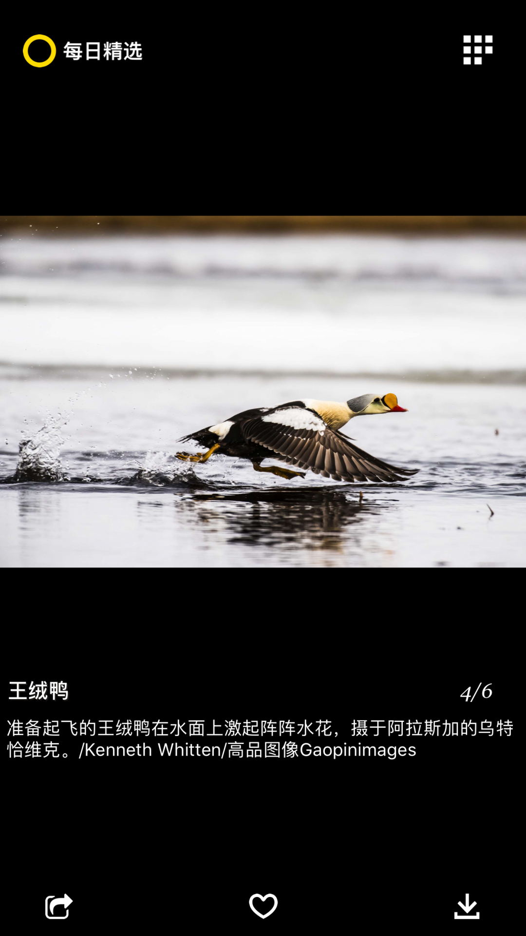 国家地理app