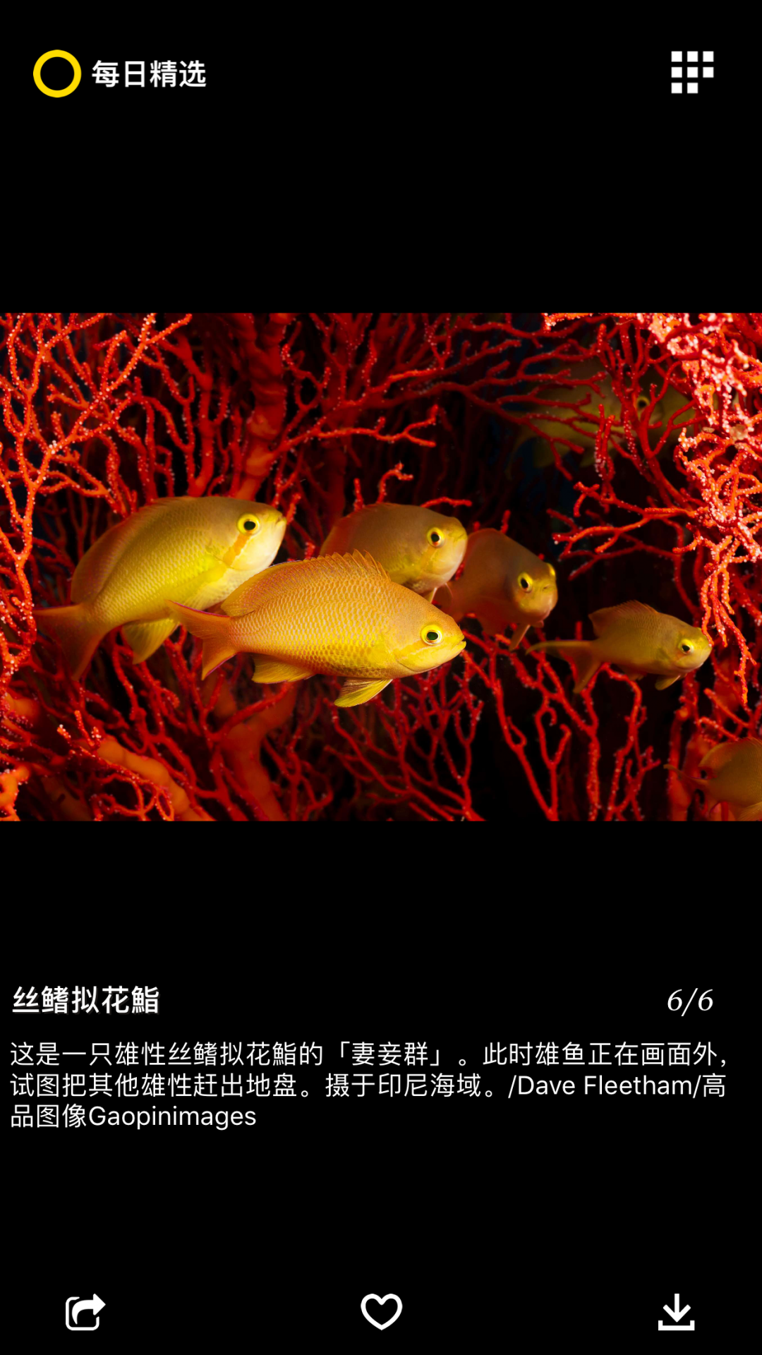 国家地理app