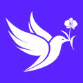 布谷网app