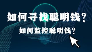 精准追踪MemeCoin：链上数据分析与聪明钱策略