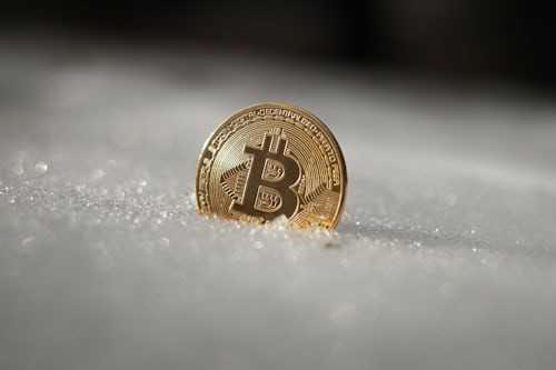 Meme币狂热与市场风向:见好就收,关注AI新机遇