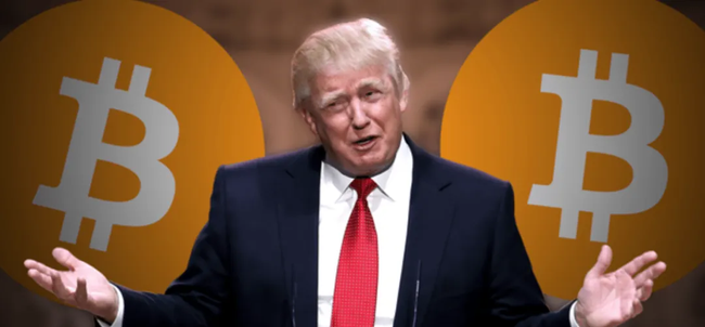 川普迷因币$TRUMP:幽默背后的经济学效应与市场动态