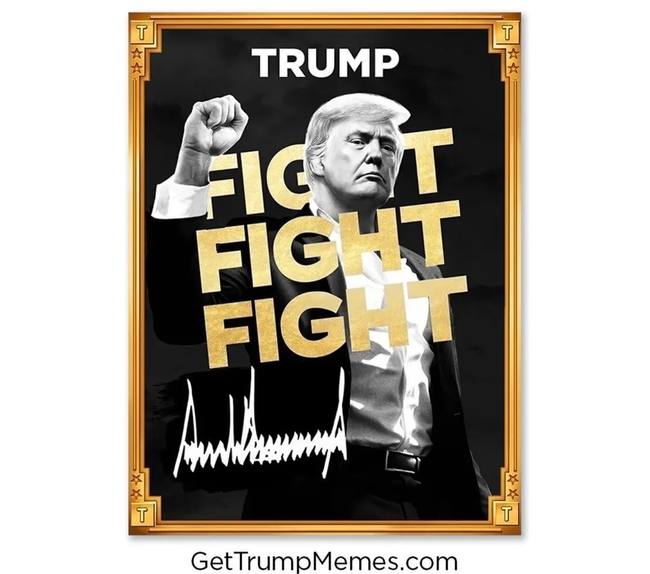 川普迷因币$TRUMP:幽默背后的经济学效应与市场动态