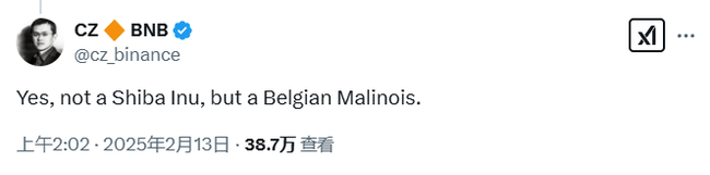 CZ宠物曝光引爆Meme币热潮,BNB短期飙升超10%!