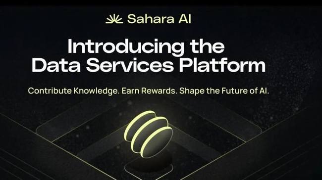 币安领投SaharaAI获4900万美金，测试网即将上线，AI+隐私计算赛道新王者崛起？