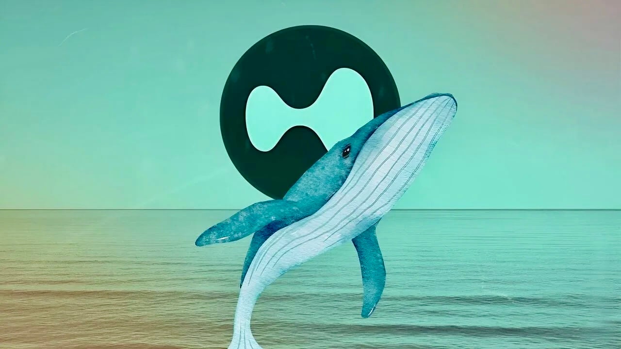 Hyperliquid 50倍巨鲸身份成谜，MELANIA账号更名引发川普内幕猜测，ZachXBT预告将揭露犯罪证据！