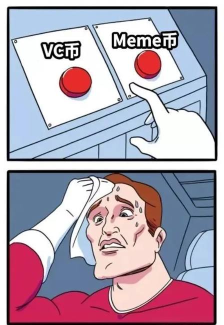 VC币陨落实录：斯坦福精英团队败北，Meme币撒钱成唯一现金流！